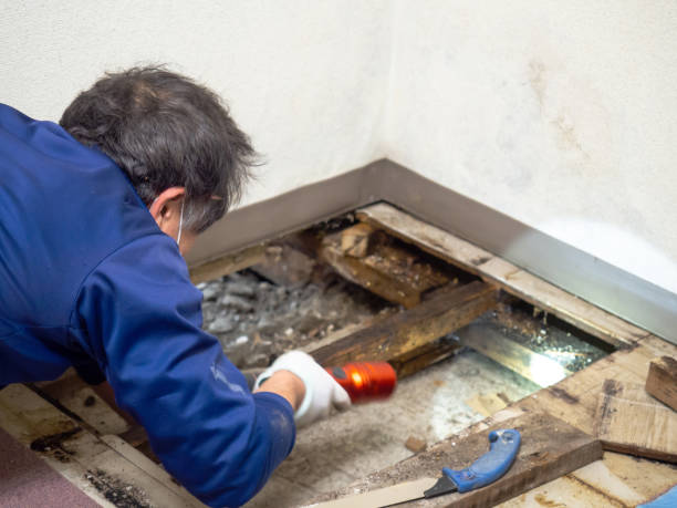 Best Mold Removal Near Me  in Seaside, CA