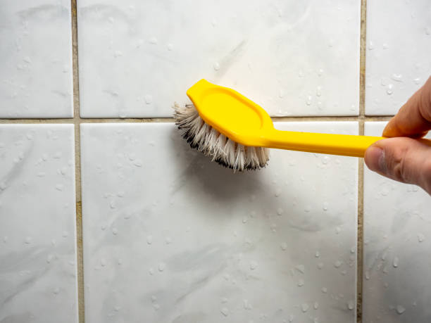 Best Fast Mold Removal  in Seaside, CA
