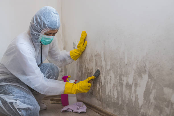 Crawl Space Mold Removal in Seaside, CA