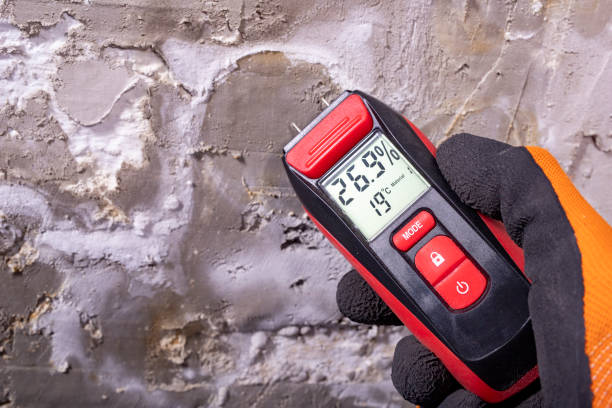 Best Commercial Mold Removal  in Seaside, CA