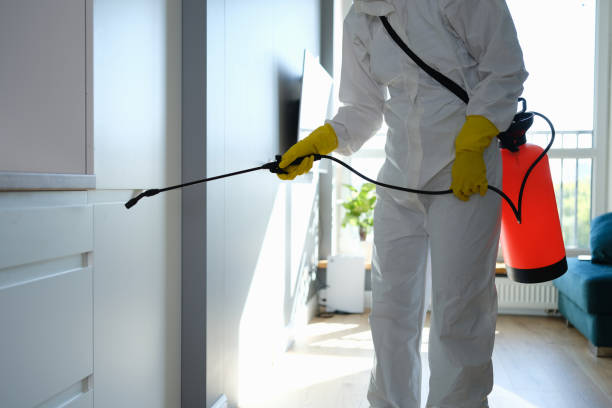 Best Residential Mold Removal  in Seaside, CA