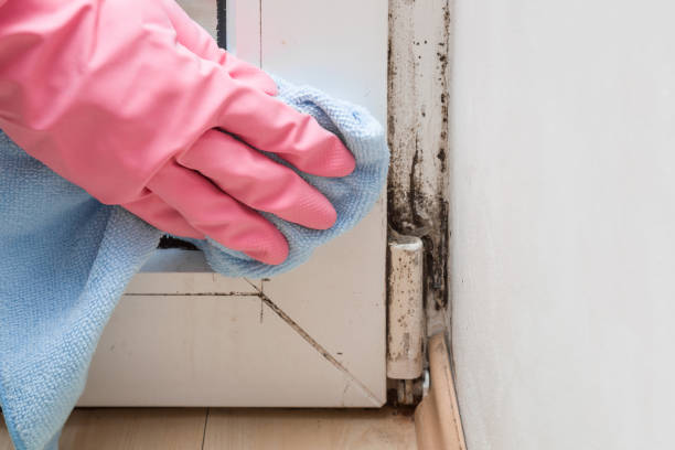 Best Mold Testing  in Seaside, CA